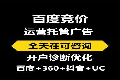 百度竞价推广运营策略：成功案例解析